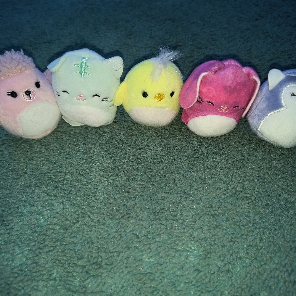 squishville bundle